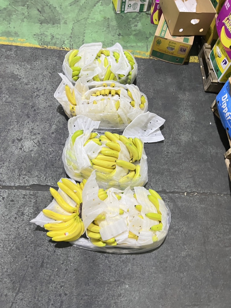 二黄蕉威廉斯皮薄肉多常年供应/精品香蕉软糯香甜物美价廉