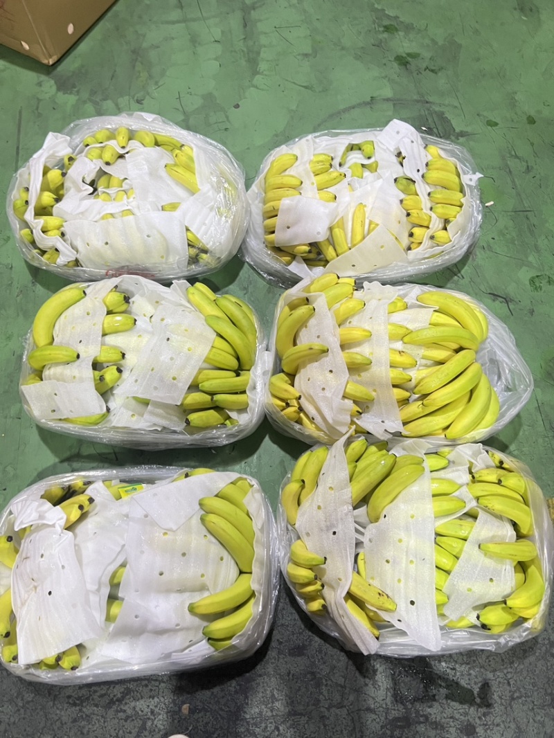 二黄蕉威廉斯皮薄肉多常年供应/精品香蕉软糯香甜物美价廉