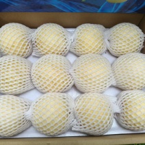 黄金梨，糖度高，水分足，口感酥脆，量大欢迎来电