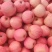 【精选红富士苹果】山东产地直发质量保证一手货源全国发货