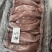 猪五号肉猪颈肉松板肉品质保证可视频看货欢迎来电咨询