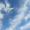河北臻诚梨果合作社的一亩田店铺