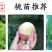 【金霞油蟠桃苗】金霞油蟠桃苗晚熟特大黄肉油蟠桃树果苗盆栽