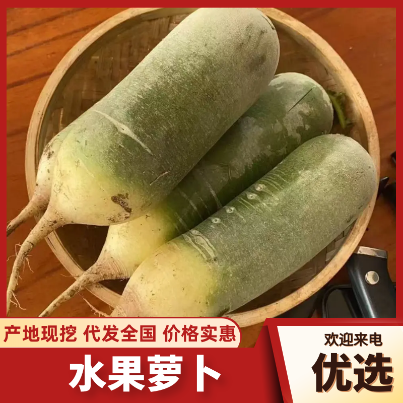【水果萝卜】脆甜爽口山东产地冰激凌萝卜量大从优可对接全国