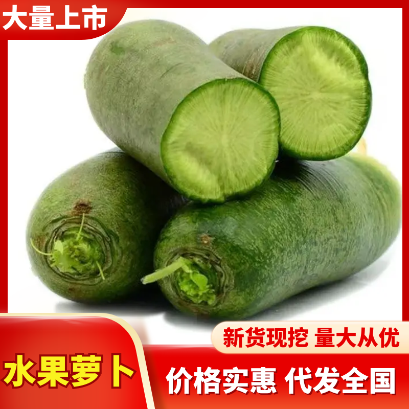 【实力推荐】河南产地水果萝卜冰激凌萝卜量大从优可视频看货