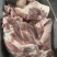 前上肉品质保证大量供应可视频看货欢迎来电咨询