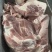 前上肉品质保证大量供应可视频看货欢迎来电咨询