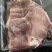 后上肉猪后腿猪脚四周的肉