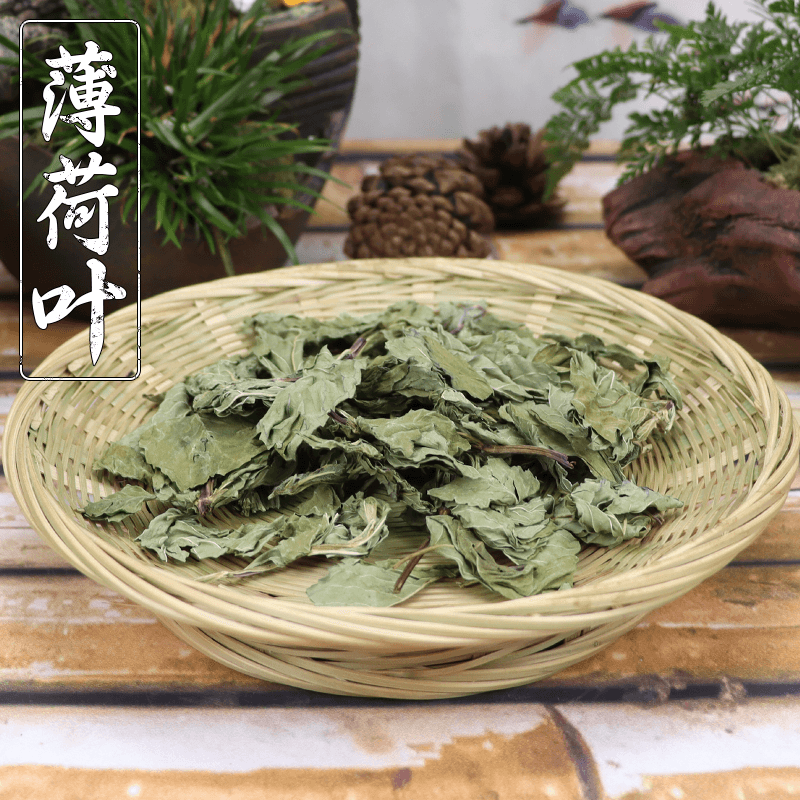 薄荷茶叶干薄荷叶新鲜可食用泡茶水薄荷薄荷叶