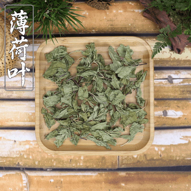 薄荷茶叶干薄荷叶新鲜可食用泡茶水薄荷薄荷叶