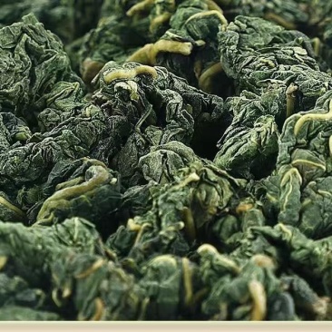正宗霜后桑叶茶中药材霜打过的干桑叶用茶泡茶花草茶桑叶养生