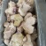 猪脚圈品质保证货源充足大量供应欢迎来电咨询