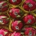 云南红心火龙果2/3/5斤一件代发，欢迎咨询，量大价优