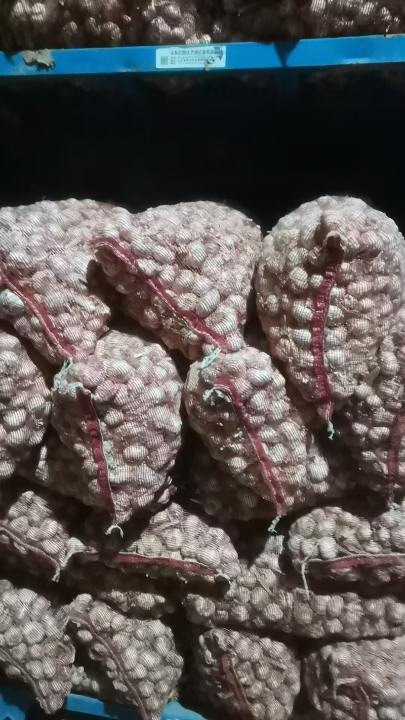 山西早熟晚熟大蒜，品质保证，价格优惠，产地直发，诚信经营