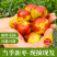 山东沾化冬枣滨州新鲜脆甜枣特大果孕妇水果中秋节