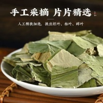 荷叶荷叶中药材荷叶片荷叶干散装荷叶大货批发