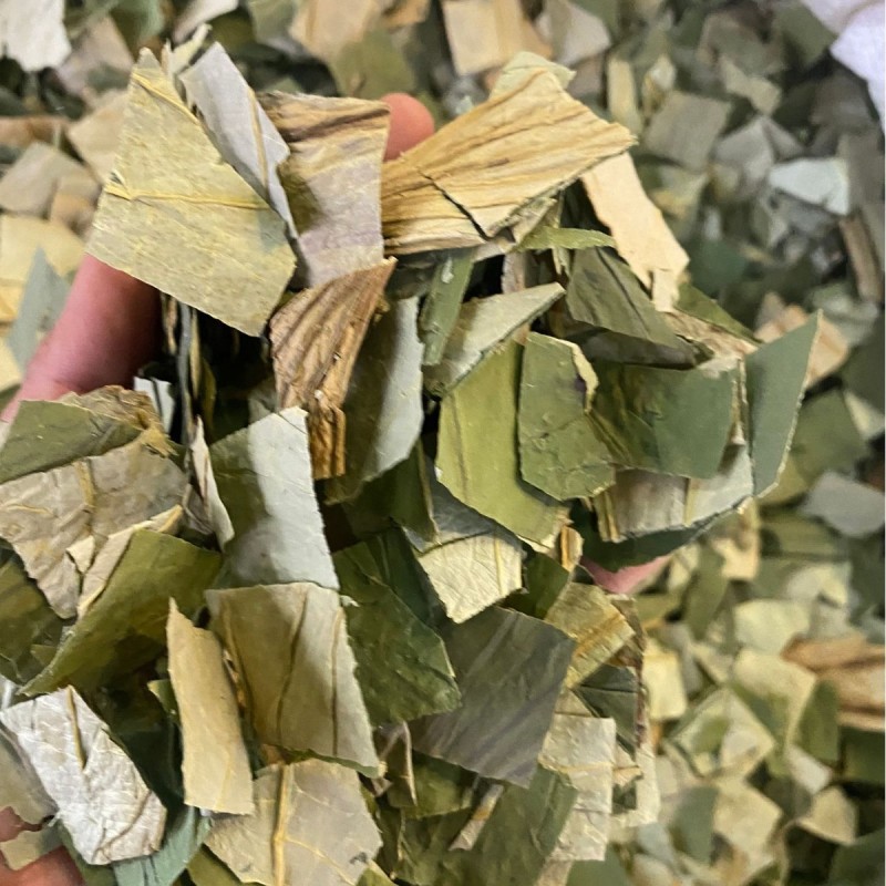 荷叶荷叶中药材荷叶片荷叶干散装荷叶大货批发
