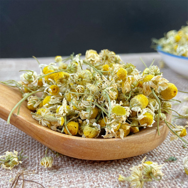 洋甘菊花草茶洋甘菊干花头洋甘菊花洋甘菊