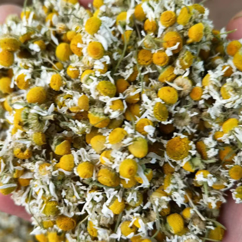洋甘菊花草茶洋甘菊干花头洋甘菊花洋甘菊
