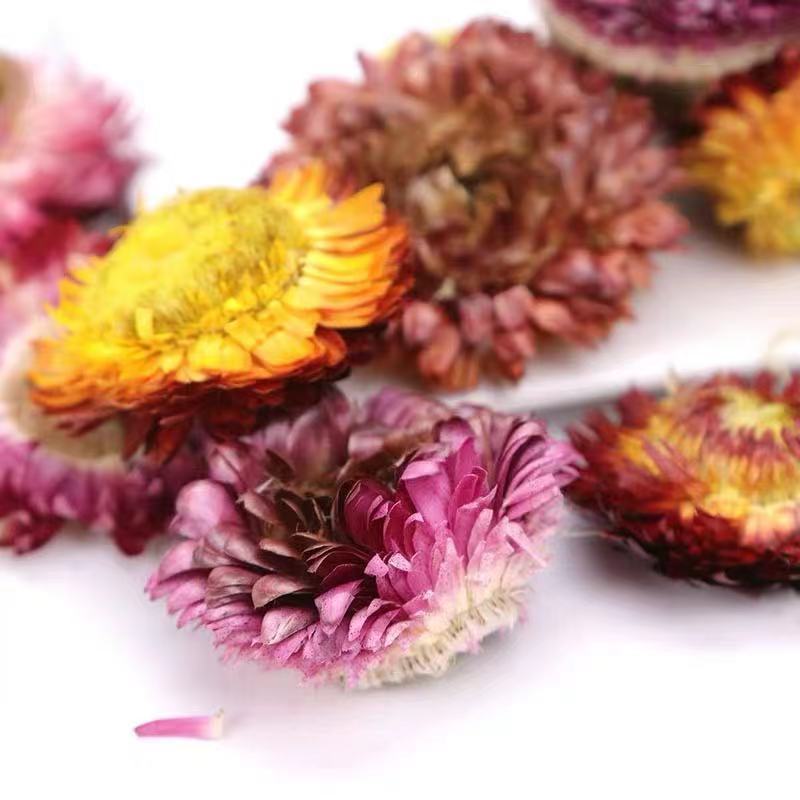 特级七彩菊正宗西藏七彩菊正品藏菊花干天然菊花花茶