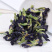 蓝蝴蝶蝶豆花蓝蝴蝶花蝶豆花茶蝶豆花蓝蝴蝶