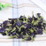 蓝蝴蝶蝶豆花蓝蝴蝶花蝶豆花茶蝶豆花蓝蝴蝶