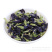 蓝蝴蝶蝶豆花蓝蝴蝶花蝶豆花茶蝶豆花蓝蝴蝶