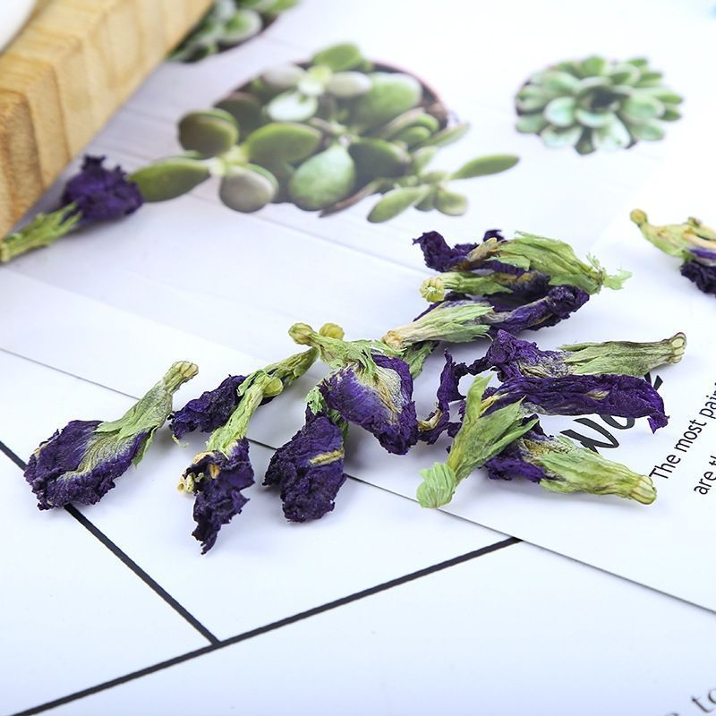 蓝蝴蝶蝶豆花蓝蝴蝶花蝶豆花茶蝶豆花蓝蝴蝶