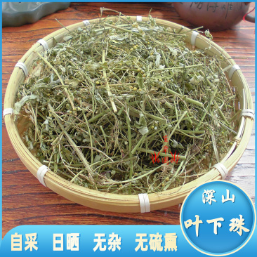 叶下珠中药材中草药原料批发珍珠草阴阳草