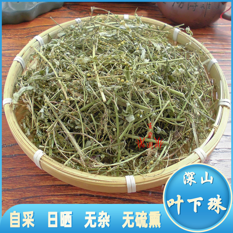 叶下珠中药材中草药原料批发珍珠草阴阳草