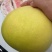 三红柚四川精品三红柚柚子皮薄多汁现摘现发代发全国