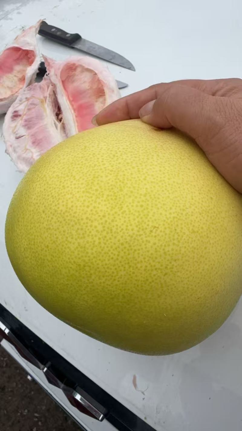 三红柚四川精品三红柚柚子皮薄多汁现摘现发代发全国