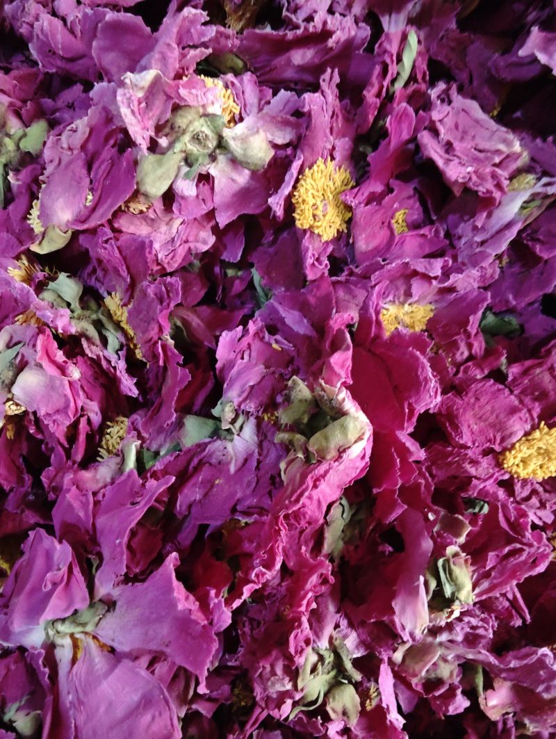 芍药花茶新货中药材白芍朵茶芍药花芍药花干勺花白勺花无硫
