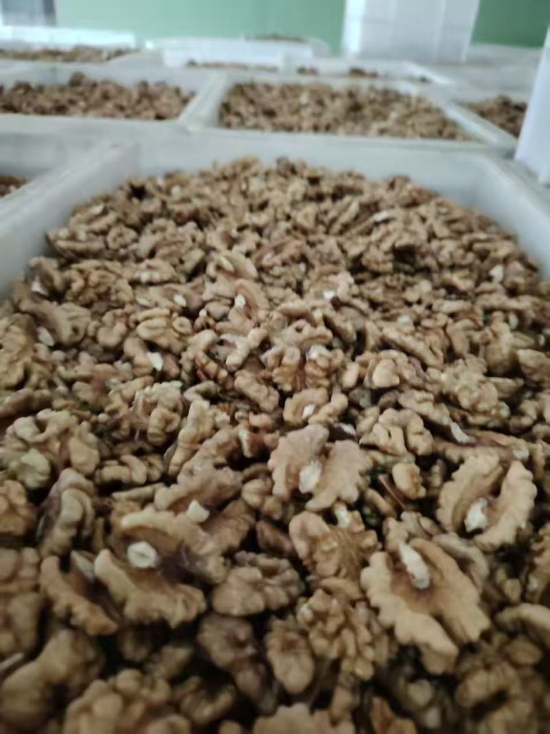 核桃仁，普白，尖普白，尖白，新鲜现货，量大从优！