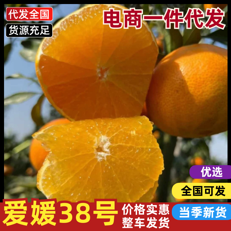 一件代发四川爱媛38号果冻橙支持各大电商平台市场批发