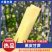 黑皮甘蔗广西甘蔗基地直发基地现砍现发量大从优