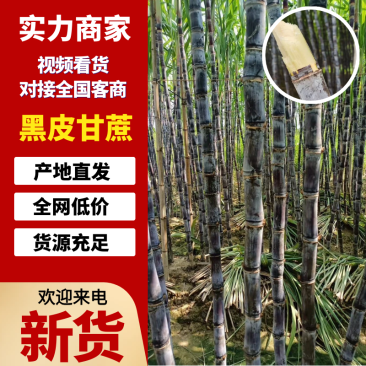 【实力供货】广西黑皮甘蔗对接各大电商平台一件代发