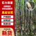 【实力供货】广西黑皮甘蔗对接各大电商平台一件代发