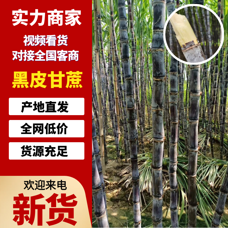 【实力供货】广西黑皮甘蔗对接各大电商平台一件代发