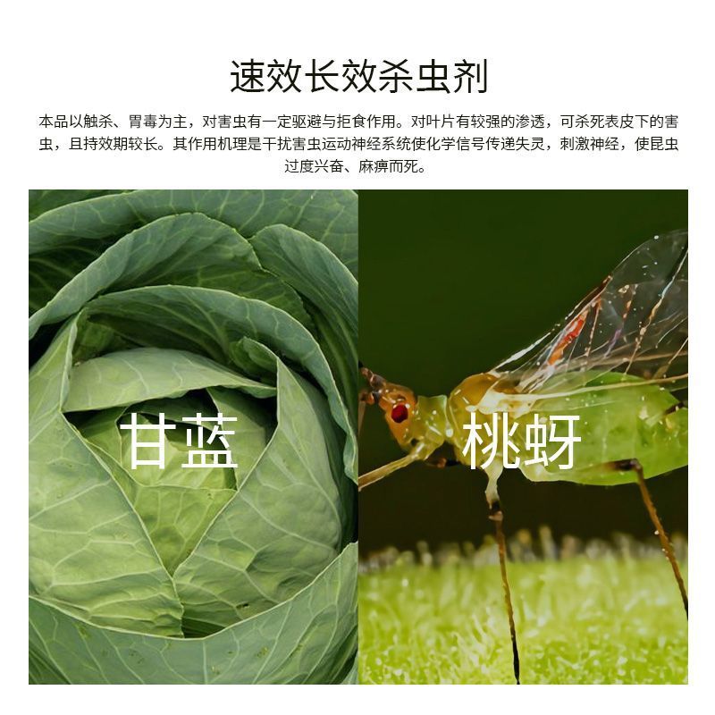 溴氰吡虫啉杀虫剂蚜虫白粉虱稻飞虱蓟马潜叶蛾食心虫梨木虱等