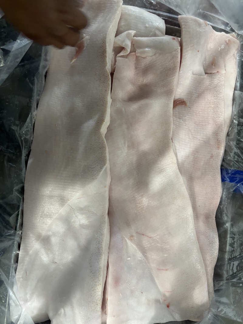 猪脊膘品质保证货源充足大量供应欢迎来电咨询