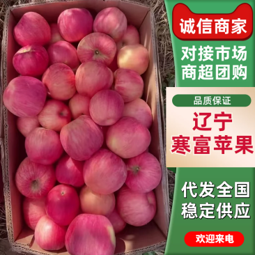 辽西特产寒富苹果山地寒地珍品新鲜脆甜上市