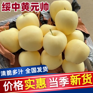 辽宁绥中黄元帅，一手货源，品质保证，可视频看货，诚信经营