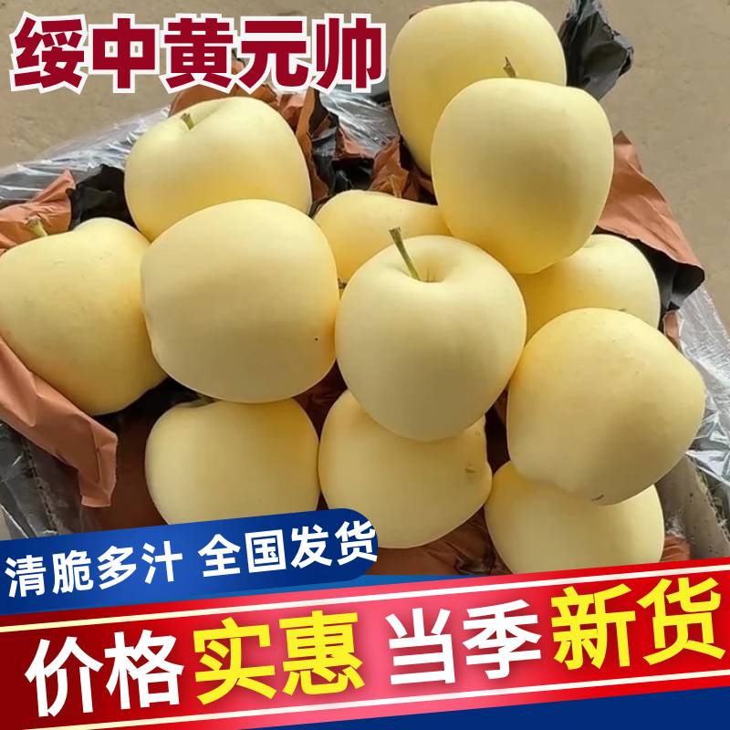 辽宁绥中黄元帅，一手货源，品质保证，可视频看货，诚信经营