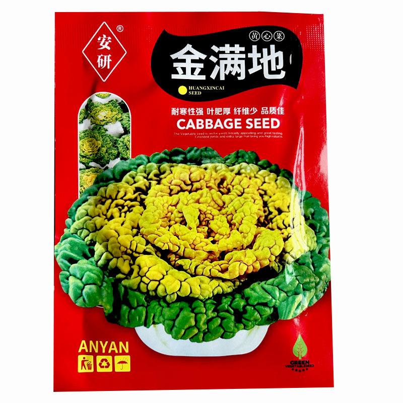 黄心乌塌菜种子早熟好种植耐寒冬季蔬菜种子春秋种植