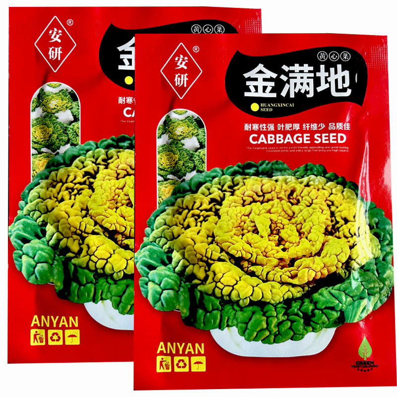 黄心乌塌菜种子早熟好种植耐寒冬季蔬菜种子春秋种植