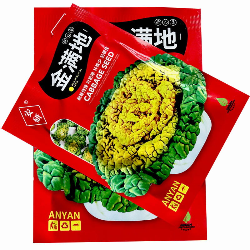 黄心乌塌菜种子早熟好种植耐寒冬季蔬菜种子春秋种植