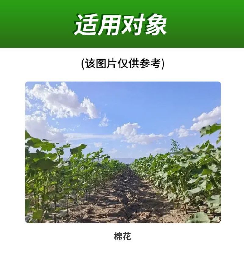 40%辛硫磷农药棉铃虫蚜虫地下害虫蝼蛄蛴螬地老虎农用杀虫