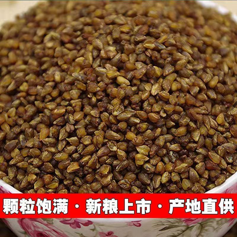 苦荞米黑苦荞云南苦荞大粒苦荞胚芽米