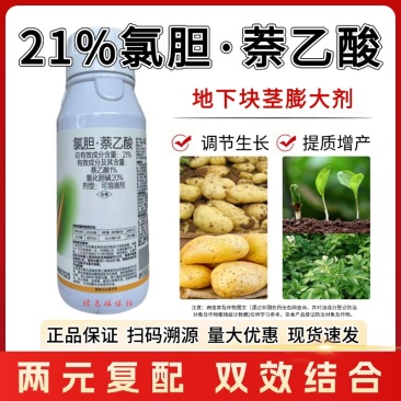 氯胆萘乙酸根茎膨大剂马铃薯葱姜蒜花生洋葱土豆红薯地下块茎